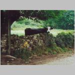 184-Portomarin-to-Melide.jpg